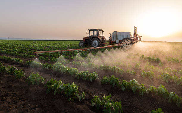 Best Pest Control for Businesses  in Walnut Ridge, AR